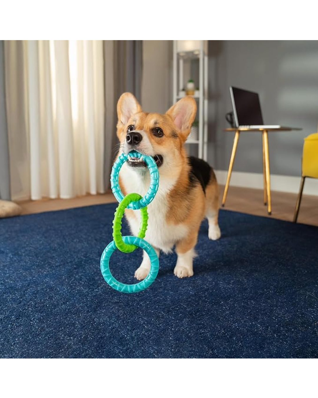 Aros de Goma para perros